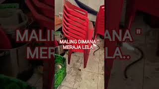 Download Lagu LADU SING... OH LADU SING... KENAPA LAH KALIAN KERJA SAMA DGN BANDAR NARKOBOY. HANCUR NEGARA INI MP3