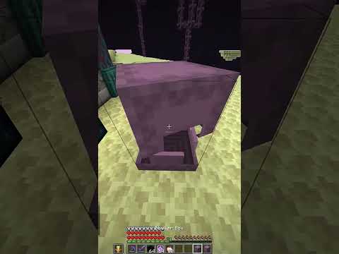 My enderchest collection on plateou smp#shortvideo