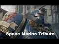 Space marine tribute music  carolus rex  sabaton