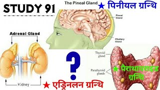 Various Gland Information science #biology science video class Study 91 Nitin sir