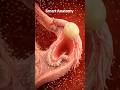 Infertility in female Where Female Fertility Fails, #fertelization ##infertility #ovulation