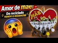 Amor de mãe,  do reciclado nasce o essencial 