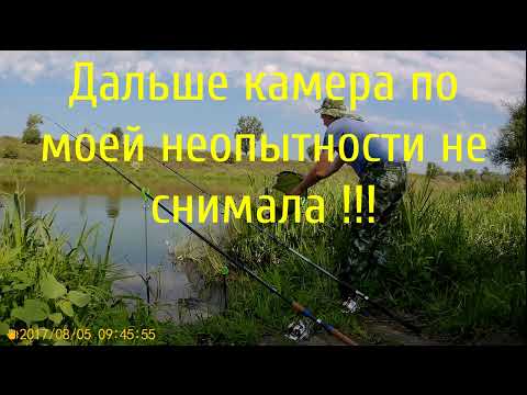 BigFish1.ru BigFish1.ru