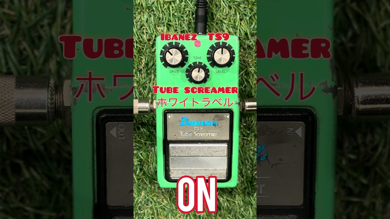 Ibanez Tube Screamer TS9 ホワイトラベル Ibanez TS9 Tube Screamer ホワイトラベル【尾張一宮店】（中古