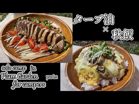 【ソロキャンプ】秋の食材で最高のキャンプ飯と日本酒・初タープ泊の夜・徒歩キャンプ・DDタープ