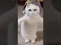 kedi ile ilgili bir shorts yap ama#cat yazmayı unutmayın
