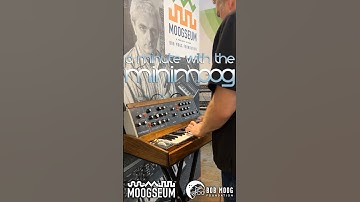 A Minute With the Minimoog - Moogseum Arpeggios for Bob
