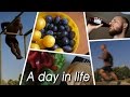 A Day in Life of a Calisthenics Athlete