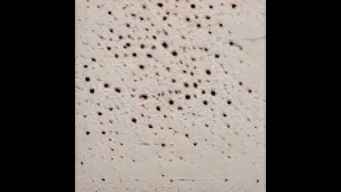 "/content/ipfs/input/audio_file.mpeg"