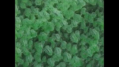 "/content/ipfs/input/audio_file.mpeg"