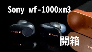 Sony WF-1000XM3 最強降噪耳機開箱只說缺點!! | 降噪耳機 ...