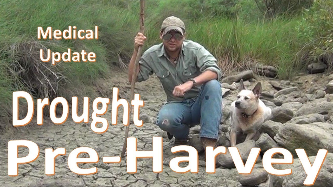 texas hurricane volleyball Pre-Hurricane Harvey Update -Drought Before Storm-