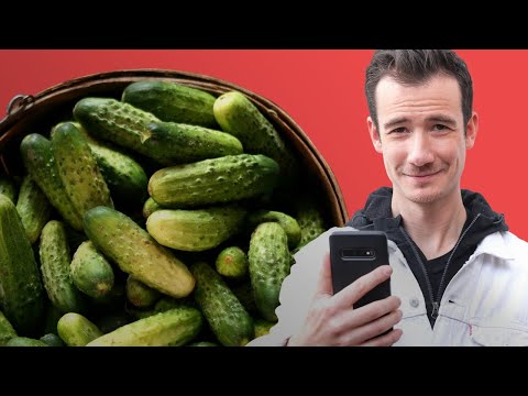 Vidéo: Pourquoi mes cornichons maison sont-ils si salés ?