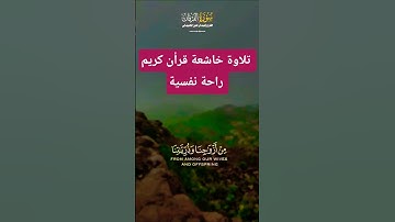 قرأن كريم تلاوة خاشعة راحة نفسية بصوت جميل جدا ومؤثر #قران_كريم #قرآن #elmulquranعلم