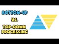 Bottom-up vs. Top-down processing | Explained in 2 min
