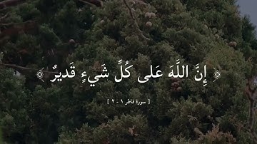 تلاوة من سوره فاطر | إبراهيم محمد