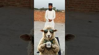Bakra Eid ki Namaz Seekh lo #youtubeshorts #minivlog #viral #vlog #ytshorts