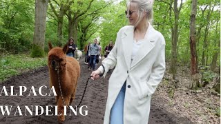 Met alpaca's wandelen | #vlog