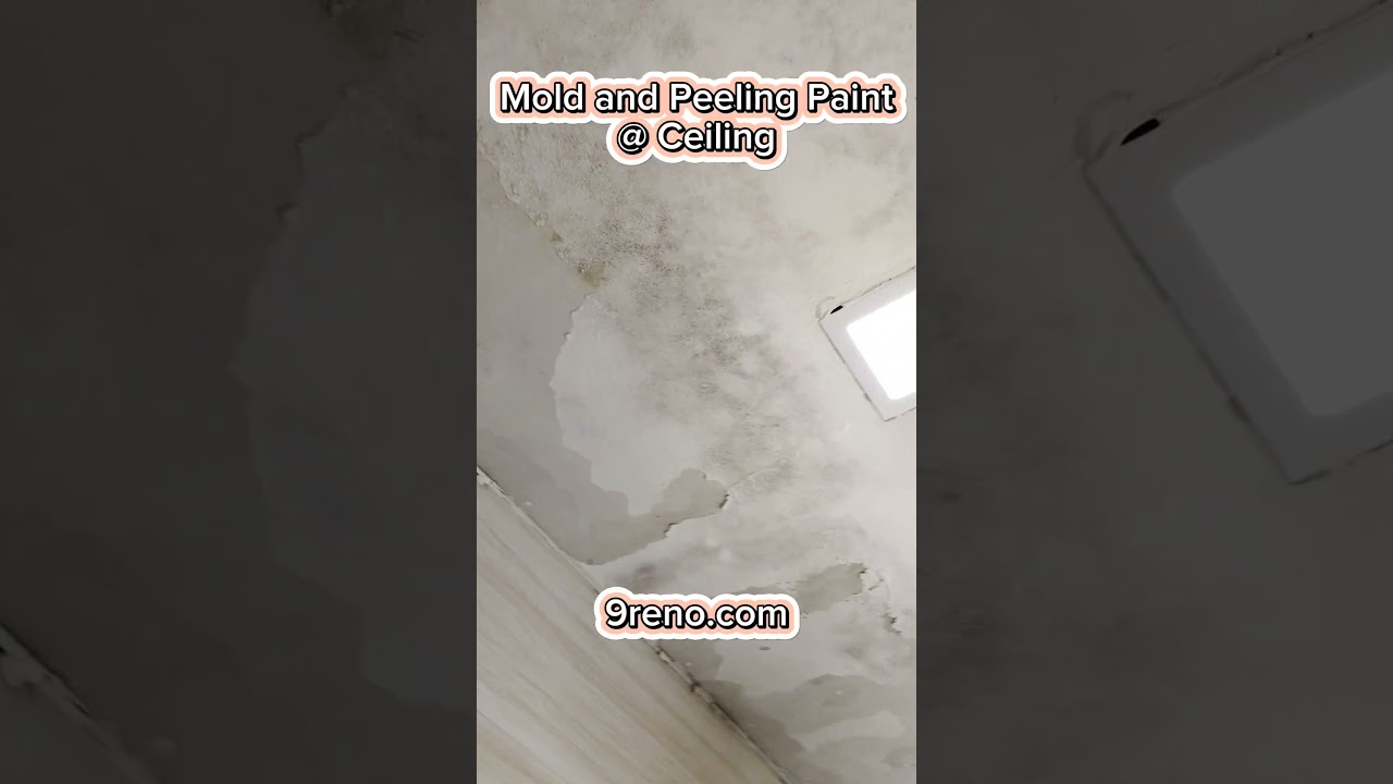 [9reno]What is the repair method of Mold and Peeling paint at false ceiling ?