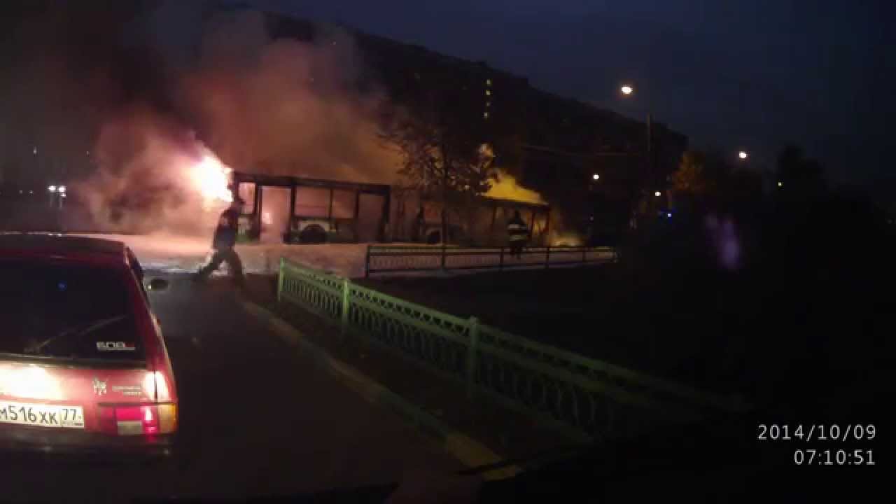 Восток авто гольяново