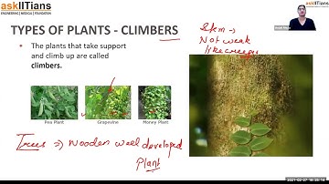 Types of plants: Herbs, Shrubs, Trees, | Lecture-1 | Getting to know plants | Biology | Grade - 6