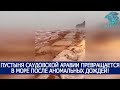 ПУСТЫНЯ САУДОВСКОЙ АРАВИИ ПРЕВРАЩАЕТСЯ В МОРЕ ПОСЛЕ АНОМАЛЬНЫХ ДОЖДЕЙ!