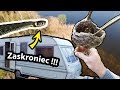 Pierwsze Ognisko w Lesie, Przyczepa Kempingowa i Szalone Zaskrońce !!! *polskie węże (Vlog #270)