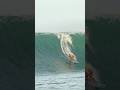 The sound of surging wave
