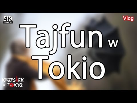 Wideo: Czy tajfun uderza w Japonię?