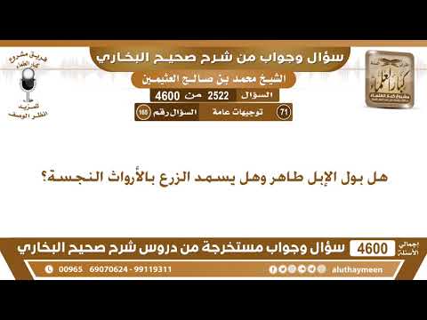 2522 4600 هل بول الإبل طاهر وهل يسمد الزرع بالأرواث النجسة ابن عثيمين