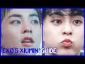 A GUIDE TO EXO'S XIUMIN