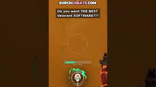 What is the best Valorant software? #valorant