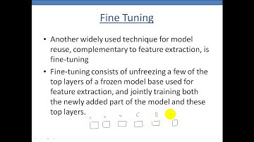26. Transfer Learning with Fine Tuning
