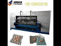 2019 new type egg carton box egg tray machine manufacturer