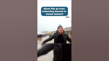 Why Dam Easy Flood Barriers Are a Must-Have for Homeowners 🏠🌊 #shorts #shortsvideo #shortsyoutube