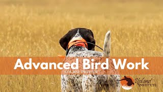 Upland Institute: Advanced Bird Work Course Preview