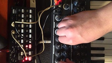 Korg SQ-1 - Microbrute Random Arps