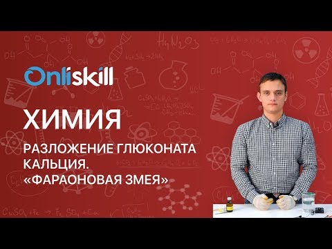 Химия 11 класс: Разложение глюконата кальция. "Фараоновая змея"