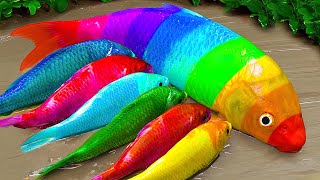Funny Stop Motion Rainbow Catfish, Cute Turtle - Animation Colorful Koi Pond, Pink Eel by Animal Stop Motion Cooking 192,464 views 11 months ago 8 minutes, 15 seconds