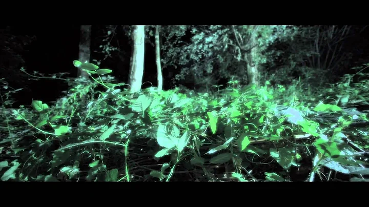 Sara Jackson-Holman - "Cellophane"  Official Music...