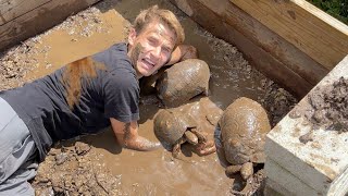 Black Tar Water Traps My Animals Will We Save Them ?