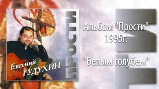 Евгений Гудухин, \