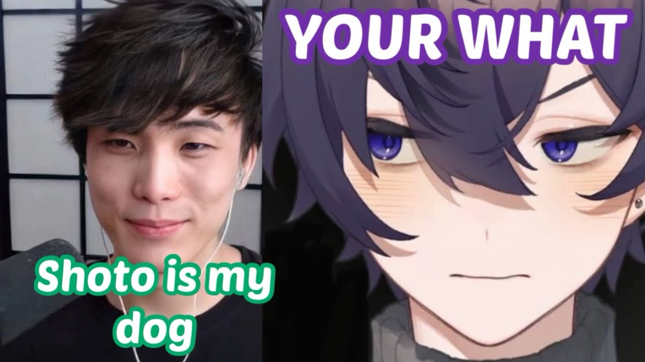 Shoto is Sykkuno’s dog?