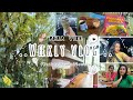 පේරාදෙනියේ සතියක් ගෙවෙන හැටි..🌼❤️ |weekly Vlog |Unilife