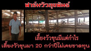 ฟาร์มวัวขุน ลุงพันธ์ เลี้ยงยังไง ไม่ขาดทุน มีเเต่กำไร