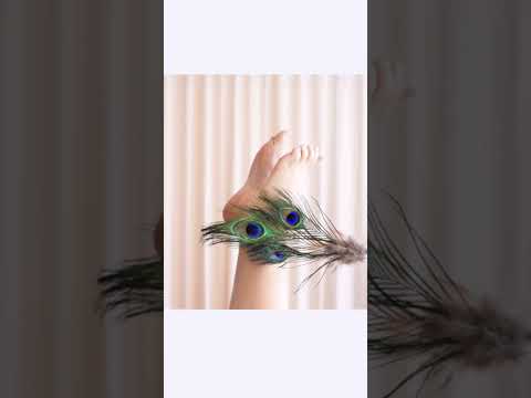 peacock feathers (come watch full video)