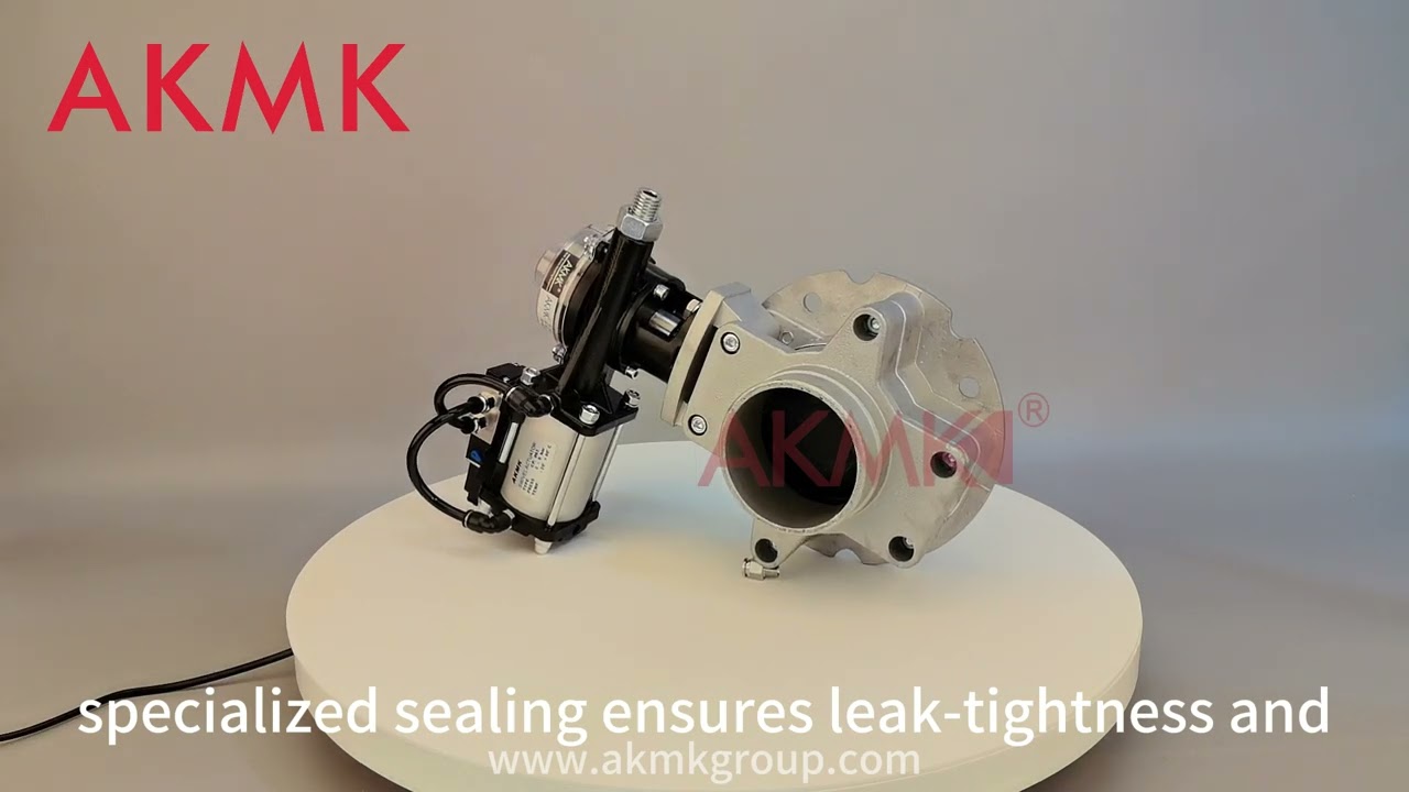 VFS Butterfly Valve（4）