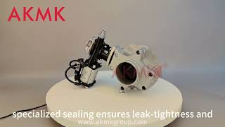 VFS Butterfly Valve（4）