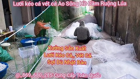 Lưới Kéo Cá Vét Cá Ao Sông Hồ Đầm Ruộng Lúa - Lưới Kéo Cá Sợi Dù Nhật Bản Cung Cấp Toàn Quốc