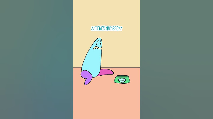 Nunca Sé Qué Quiere Mi Gato